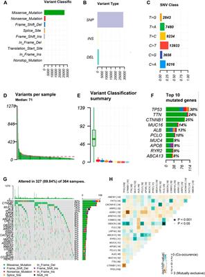 Identification of Tumor Mutation Burden and Immune Infiltrates in Hepatocellular Carcinoma Based on Multi-Omics Analysis
